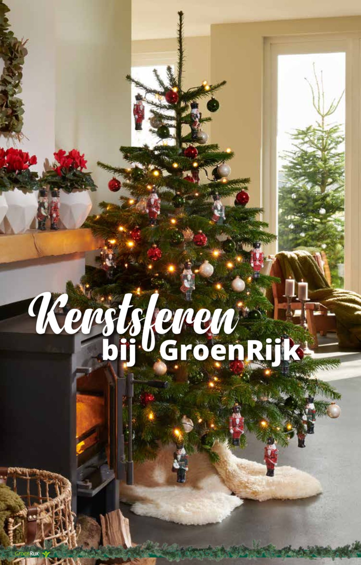 Catalogus van GroenRijk kerstaanbieding 2019 van 03.12.2019